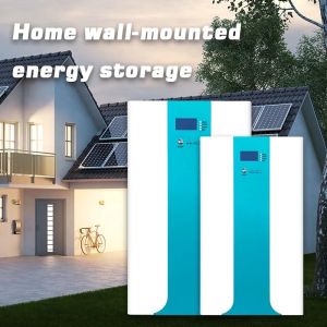 Lithium Iron Phosphate Battery Stackable Home Use 51.2V 100Ah Prismatic Pack