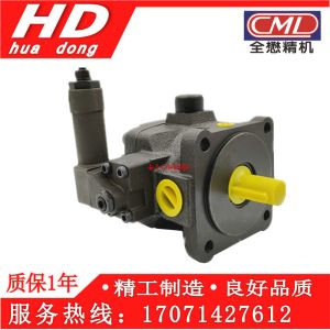 CML Hydraulic Machine Pump VCM-SM-40B-20 VCM-SM-40A-20 VCM-SM-30-B-20