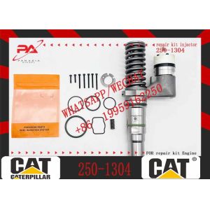 Diesel Engine Injector162-8813 246-1854 250-1311 250-1302 250-1304 250-1303 250