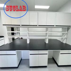 Lab Setup with Customizable and Integrated Structure Modular Lab Furniture Manufacturer Hong Kong