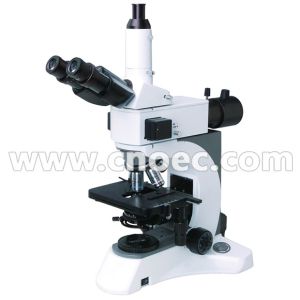 Infinity Plan Fluorescence Microscope Halogen Lamp A16.1029 40x - 1000x
