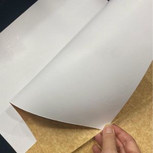 Cheap Greaseproof &amp; Leak-Proof Kraft Pizza Boxes With Recyclable Lining for sale