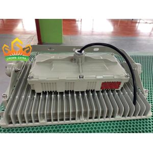Cheap CREE Flameproof LED Floodlight with 50000hours Life Time and ATEX IECEx CNEX Certified for sale
