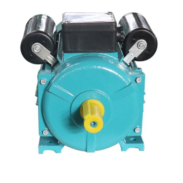 Quality Cast Iron Electric Motor Water Pump 2 Pole Capacitor Start IP44 YC80B-2 wholesale