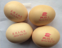 Cheap 60 HZ Egg Jet Printer / Date Qr Code Egg Spraying Machine With Fast Printing Speed for sale
