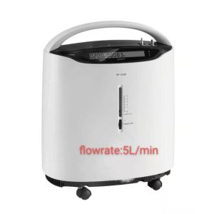 Compact Movable 5L/Min PSA Oxygen Concentrator