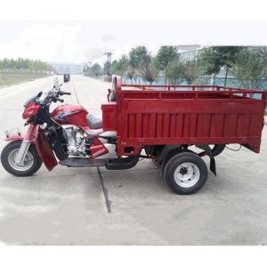 2t Load Open 70km/H Cargo 250cc Petrol Tricycle