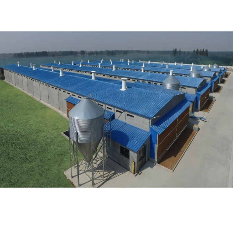 Automatic Prefab Steel Structure Chicken House Q235 Q345 Steel Frame Shed House