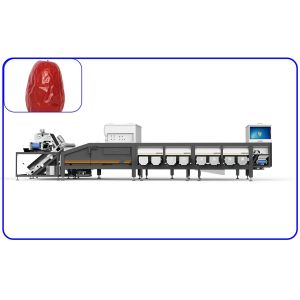 Buy cheap Smart Machines Sort All Kinds Of Dates 12 Lanes Dates Sorting Machine from wholesalers
