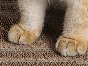 Cat Scratching Board Cat Couch Scratcher Cardboard, Durable Scratch Lounge Bed,