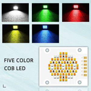 LED Chip Suppliers in High Lumen 90LM/W 4050 LED for Photography Lights OEM ODM