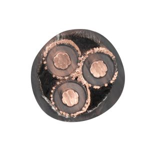 Medium Voltage Power Cable IEC60502 BS6622 VDE N2xsery Yjv32 Aluminum XLPE