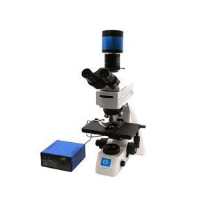 Coarse / Micro Coaxial Focusing Upright Biological Microscope B70F