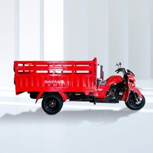 200cc Gasoline Cargo Tricycle with 5.0 Inch Wheels and 500kg Load Capacity Your