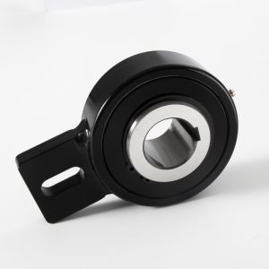 AV20 AV25 AV Series One Way Roller Bearing Backstop
