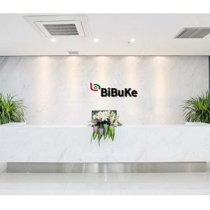 Dongguan Bibuke Electronic Technology Co., Ltd.