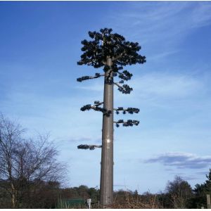 ANSI Bionic Tree Single Tube Camouflage Cell Tower
