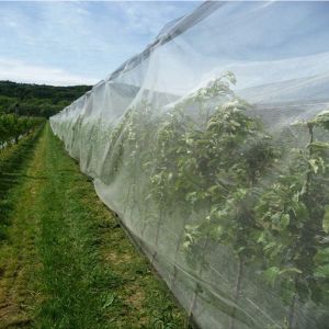 Anti Insect HDPE Mesh Fabric for Agriculture Greenhouse