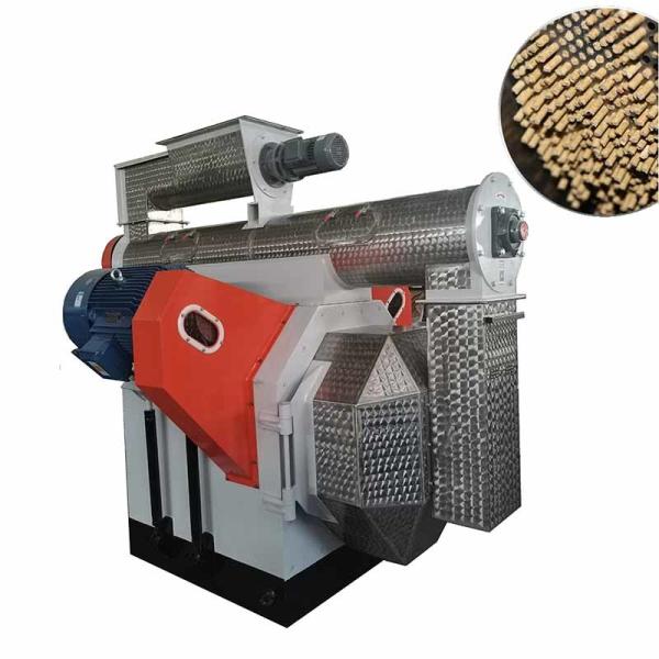 Quality 250 Model Ring Die Feed Pellet Mill Pig Chicken Feed Pellet Machine With Steam Generator wholesale