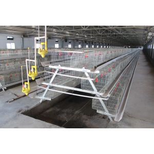 Pullet Battery Baby Layer Chicken Cage Galvanized 4 Tier A Type