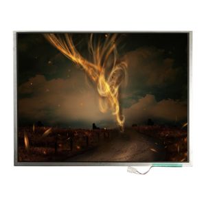 Cheap LTM12C505 12.1 inch 1024*768 TFT-LCD Screen Display for sale