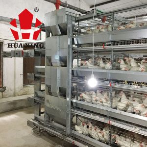 Rational Structure Automatic Water Feeder For Chickens / Automatic Poultry