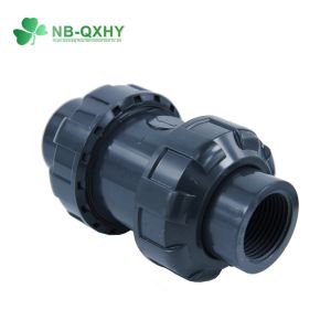 Customization DIN JIS ANSI Standard Plastic Check Valve for Water Industrial