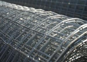 China 1mm-3mm Hot Dipped Galvanized Welded Wire Mesh Animal Cage Wire Mesh Rustproof on sale