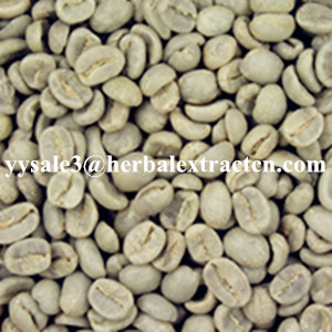 Green Coffee Bean Extract Chlorogenic acid 10%-50% Yellow Brown fine powder,