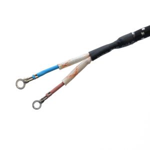 Commercial Power Cord Extension Cord VDE/SNI/KC 2 Round Pin Plug for Electric