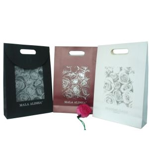 Custom Printed Paper Gift Reusable Carrier Bags With Ribbon Closure 42cm * 28cm