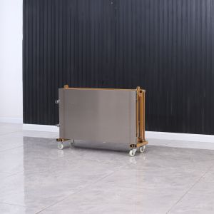 Light Duty Rail Dust Free Sliding Table Saw Push Pull Folding Table Saw