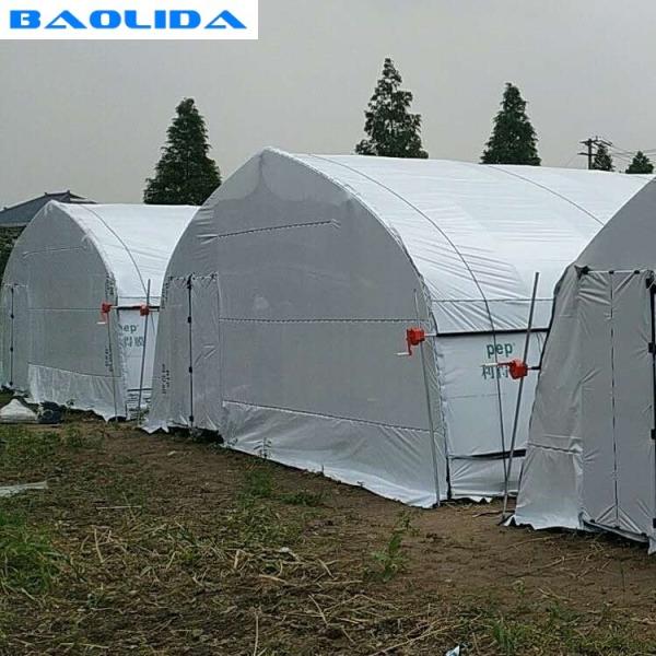Quality Tunnel Polyethylene Foil Greenhouse For Mushroom Low Transmission Black And White wholesale