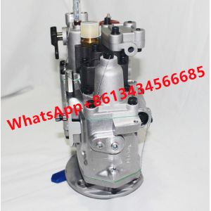 NT855 Genuine PT Fuel Injection Pump Diesel Engine 3262033
