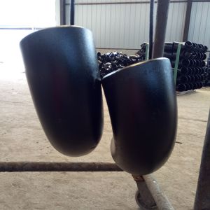 Socket Weld Carbon Steel Pipe Fittings With Xs Thickness