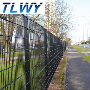 6/5/6mm Double Wire Welded Mesh Fence Powder Coated 50*150mm