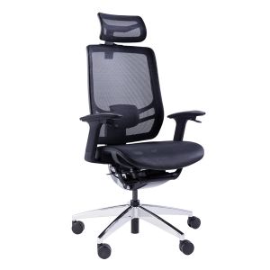 Dynamic Self Adapting Ergonomic Executive Chair 33 Degrees Tilting