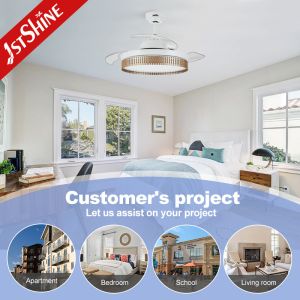 Noiseless OEM Decorative Lighting Ceiling Fan with Dimmable Function and 3