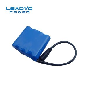 19.2V 6Ah Rechargeable Lifepo4 Battery Pack Custom Lithium Battery Pack For