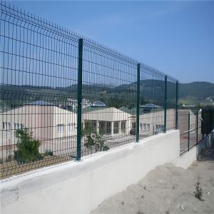 Galvanized V Mesh Security Fence Welded Wire Mesh Panel Fence For School