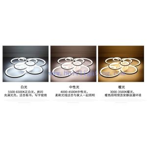 Certificate LED Flower Ceiling Lamp Modern Ceiling Light Made in China for Hotel