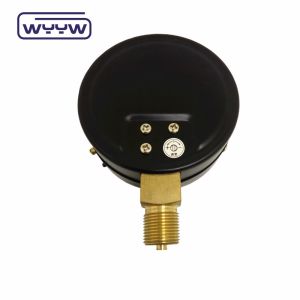 Capsule Pressure Gauge 100 Mbar Bellows Manometer 100mm G1/2"