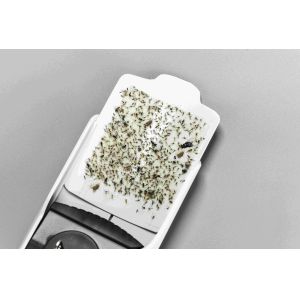 80g Insect Trap With Sticky Paper Plug In LED UV395x8pcs