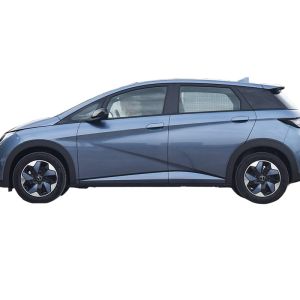 Mini Energy Electric Vehicle BYD Dolphin 2025 With R19 Tires And Electric Rear