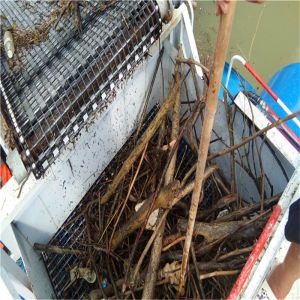 SUS 1000m2/Hr Aquatic Weed Harvesting Machine 2m Mowing Width