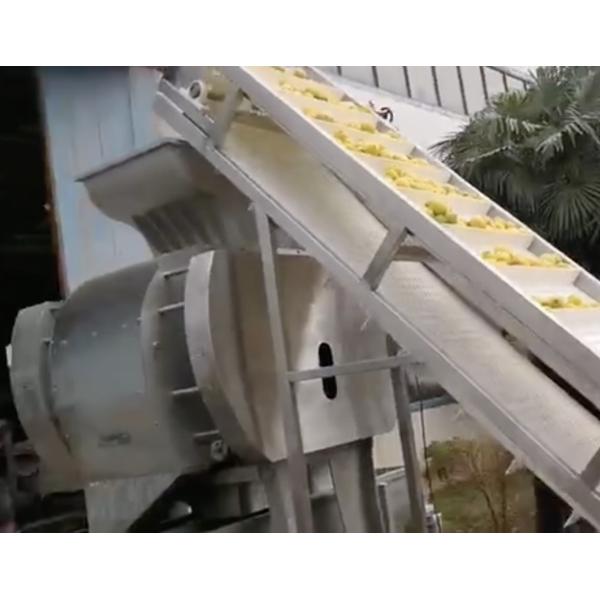 Quality citrus juice extract machine , citrus skin remover, citrus peeler equipment wholesale