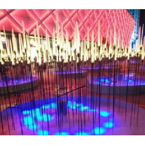 Cheap LED Plug-in Light, LED Light, LED Decorative Light,LED Lawn Lamp,LED Garden Light for sale