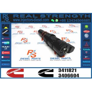 Diesel Common Rail Injector 3406604 3411821 3071497 3087648 4914328 3018835