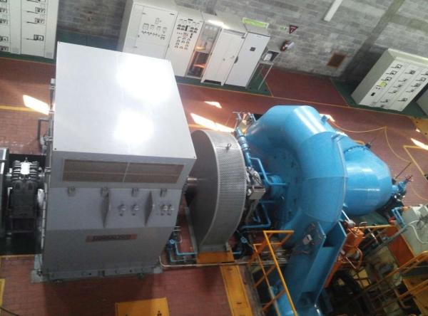 Advanced Excitation System 100V Input Ac Voltage With /- 10% Voltage Regulation