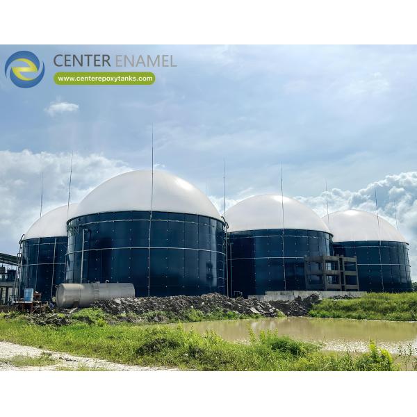 Quality Eco-Friendly Double Membrane Biogas Holders For Agricultural Biogas Projects wholesale